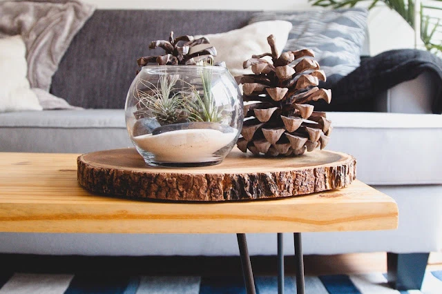 Eco-Friendly Home Décor Ideas That Boost Style and Sustainability