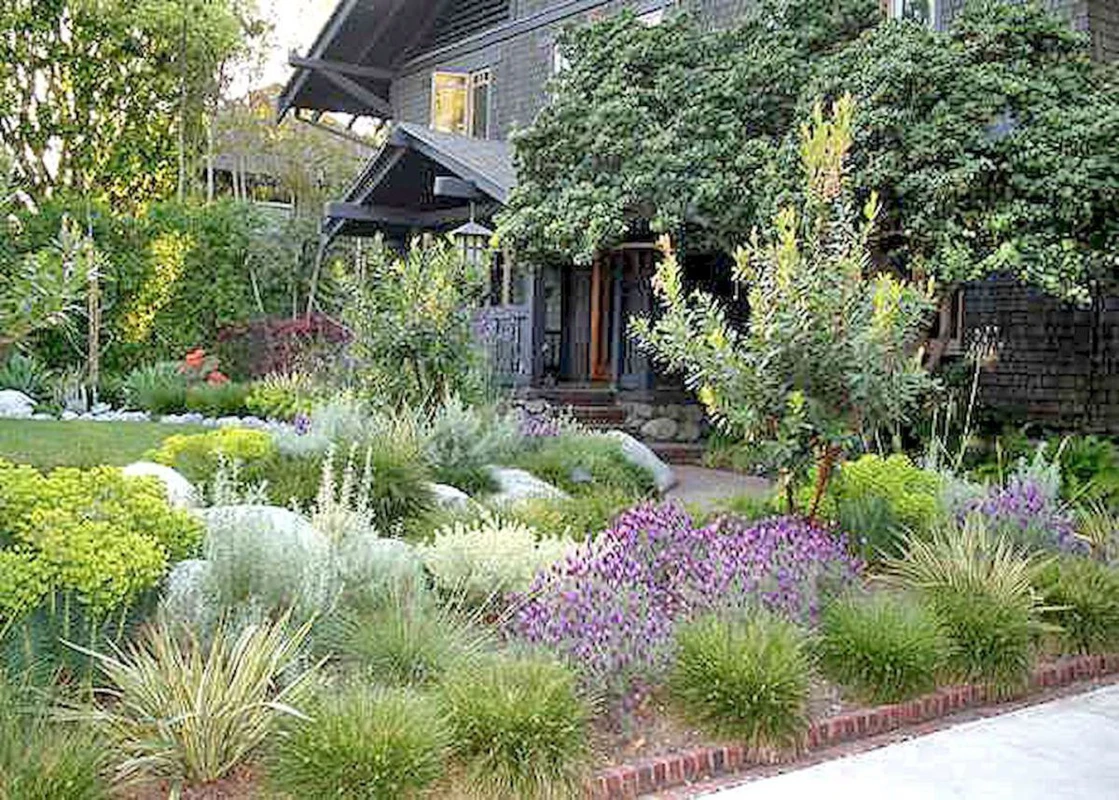 How Landscaping with Native Plants Transforms Cottage Gardens